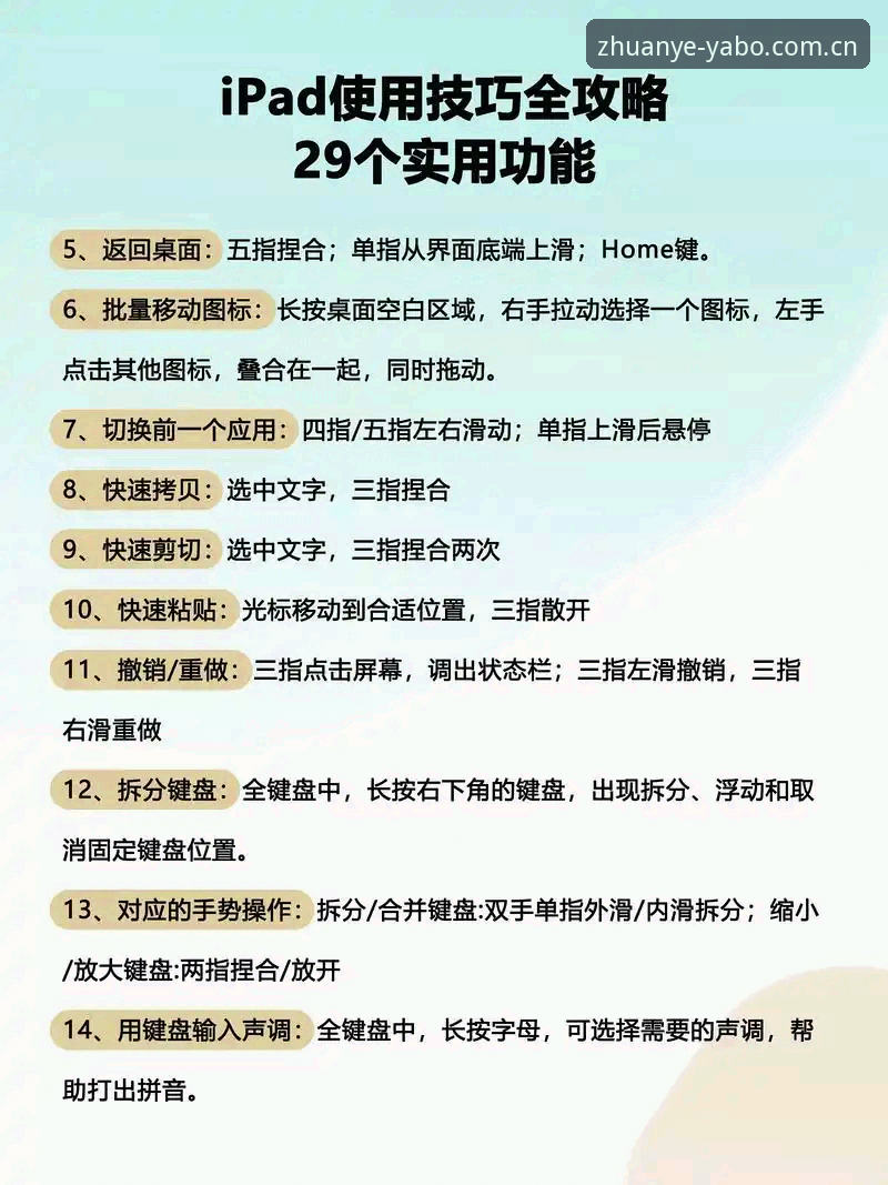 从入门到精通：资深用户分享雅博体育APP使用教程与实战心得